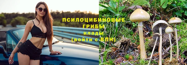 первитин Осинники