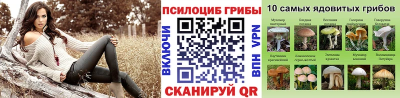 Псилоцибиновые грибы Psilocybine cubensis  Кинешма 