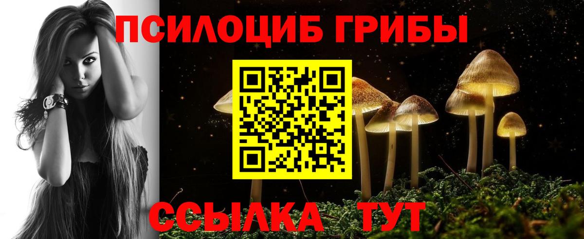 Псилоцибиновые грибы прущие грибы  Вход с VPN  Кинешма  магазин продажи наркотиков  Галлюциногенные грибы прущие грибы 