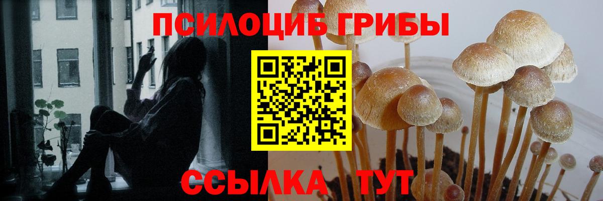 Псилоцибиновые грибы мицелий  Кинешма 